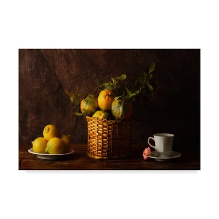 Luiz Laercio 'Still Life With Lemons, Oranges And A Rose' Canvas Art,12x19